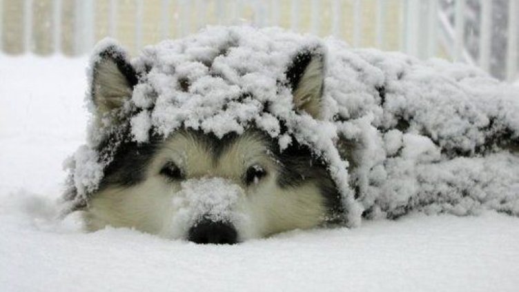 Очаква ни много студен ден