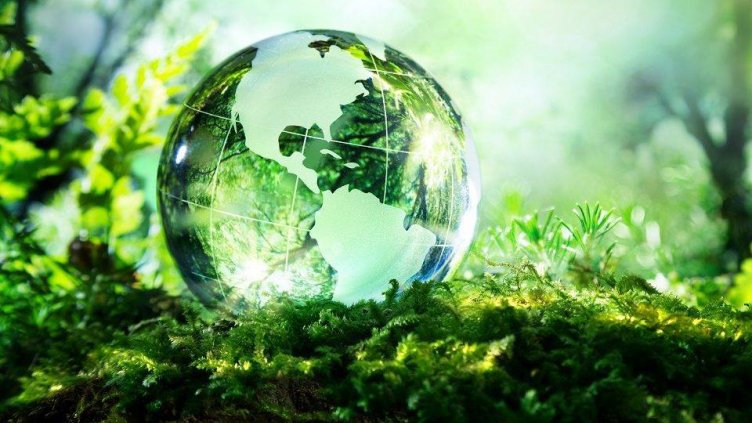 63% от растенията са на изчезване