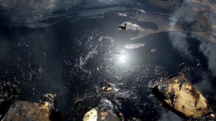 Засякоха 50-метрово нефтено петно по Дунав