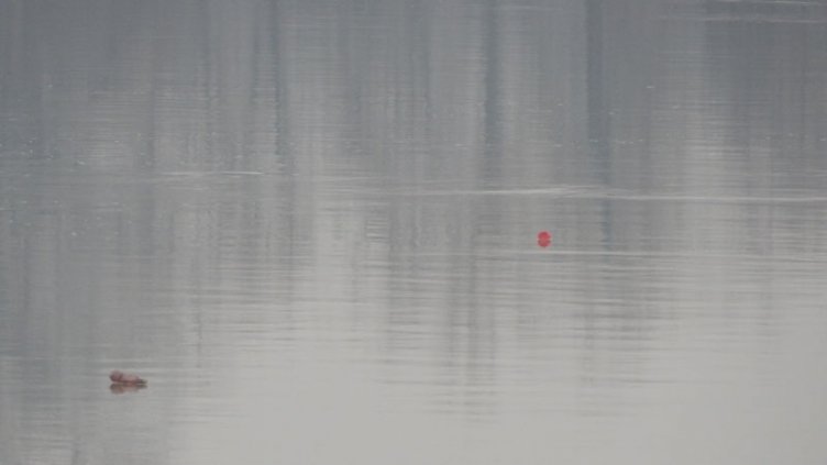 34-годишен мъж се удави в Дунав