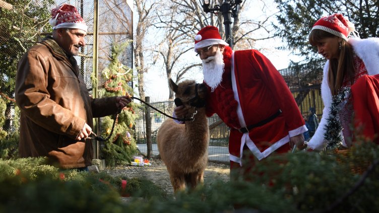 снимки: Пламен Гутинов