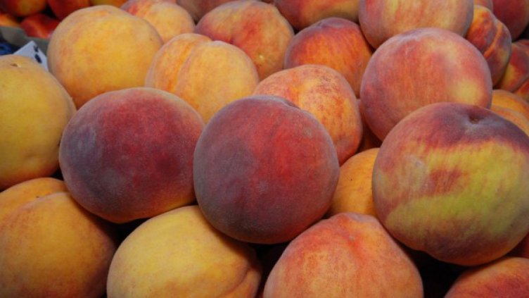 И сливенските праскови не устояха на студа