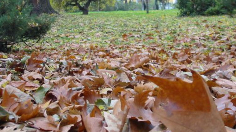 Облаци и по-хладно време ни чакат утре