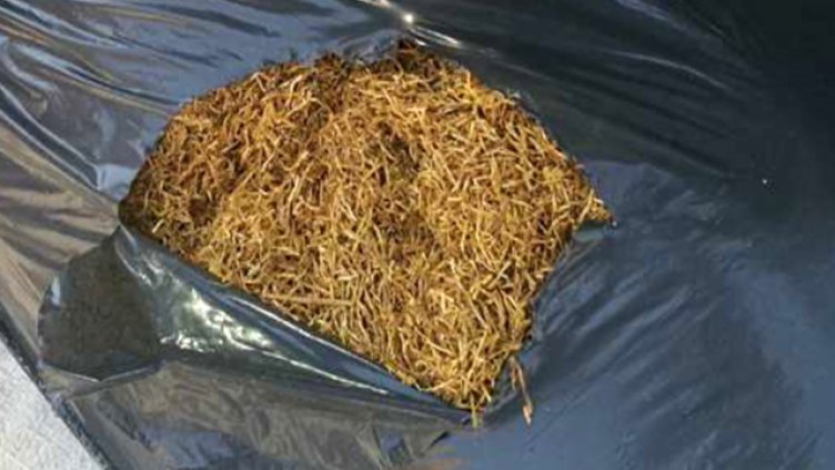 Снимката е илюстративна