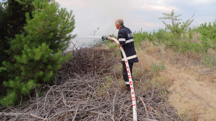 Гасят пожара между Велинград и Драгиново
