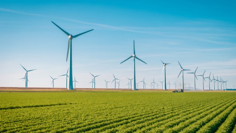 Снимката е илюстративна: АРХИВ