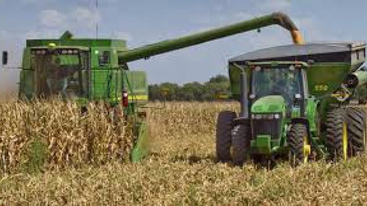 673 кг/дка е средният добив на царевица във Варненско