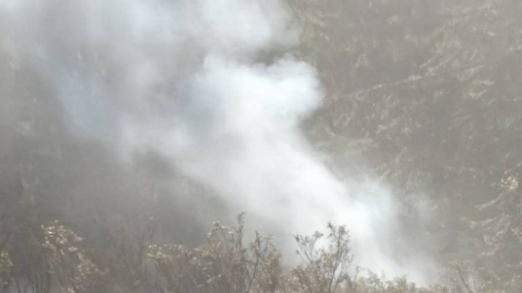 Пожарът над Чипровци е обхванал над 40 000 декара