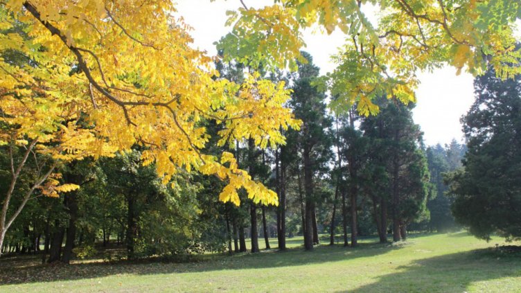 Прокуратурата във Варна разпореди проверка по казус с Ботаническата градина 