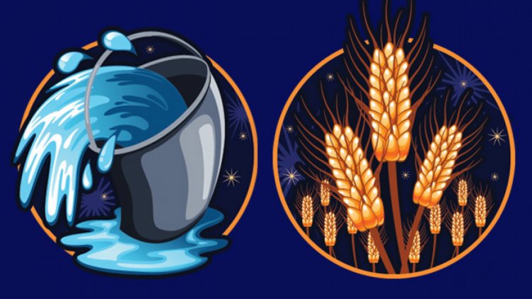 Най-несъвместимите двойки в зодиака - Водолей и Дева