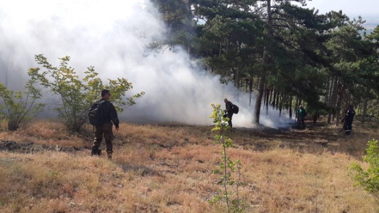 Сериозен спад на пожарите във Варненско  от началото на годината