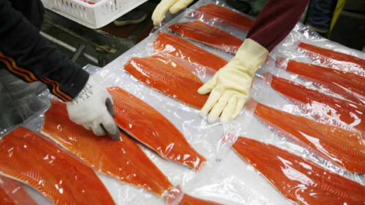 Норвежци ще строят завод за сьомга в Айтос