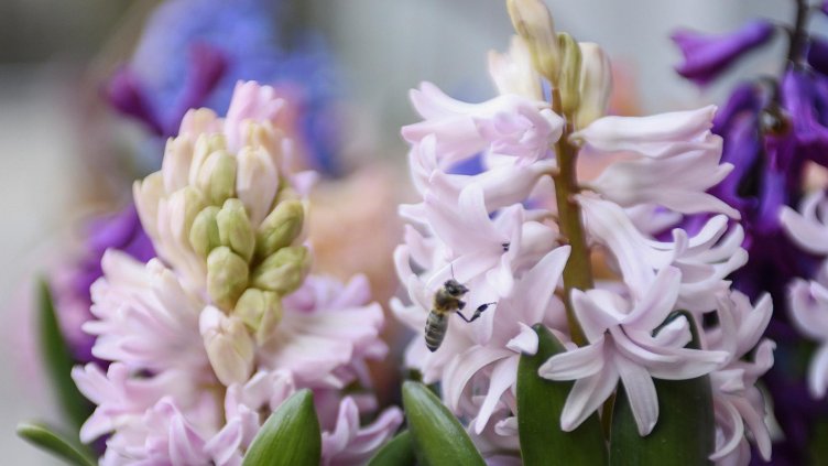 Слънчево време в цяла България днес