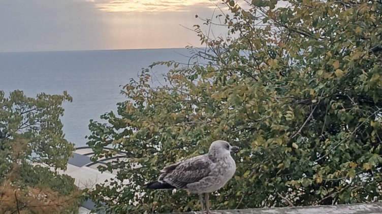 Какво ще бъде времето в събота?