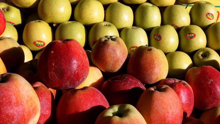 Спряха вносa на над 22 тона ябълки и около 1 т. некачествени зеленчуци