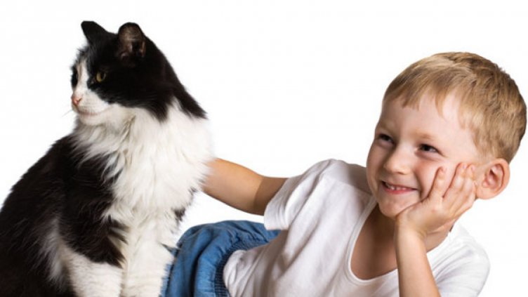 Детски психолог: Общуването с животни е важно за децата