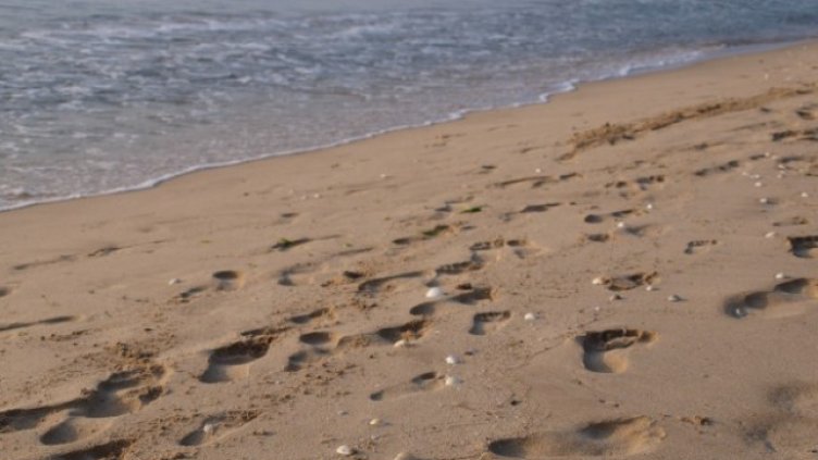 Откриха мазут на плажа в Обзор