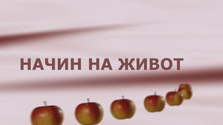 Начин на живот 30.11 2014- част 1