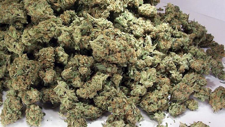 Задържаха 30-годишен мъж с половин килограм марихуана