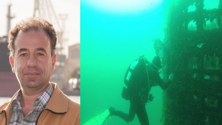 Правят  уникални вертикални мидени рифове в морето