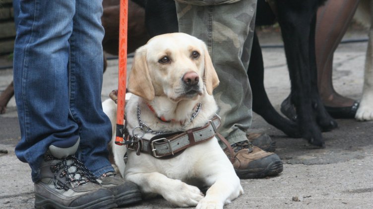 Деца популяризират възможността незрящи да ползват градския транспорт