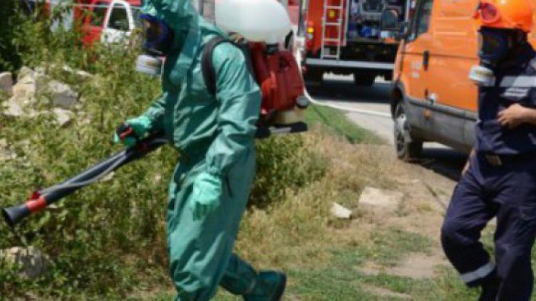 Няма опаснсност от антракс във Варненско