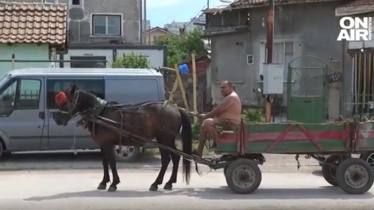 Цирк "София"! Каруцари на протест: Имаме талони. Пием, но не караме (ВИДЕО)