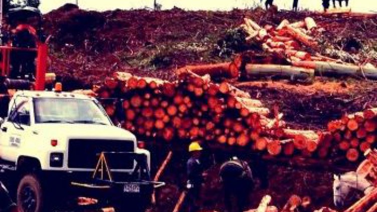 €218 млрд. годишно струват екопрестъпленията