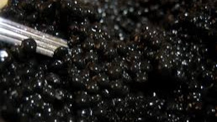 Турци ще вадят черен хайвер от Черно море