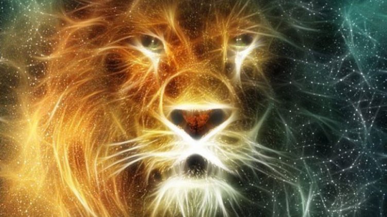 Всяка зодия отслабва по свой начин (ЛЪВ)