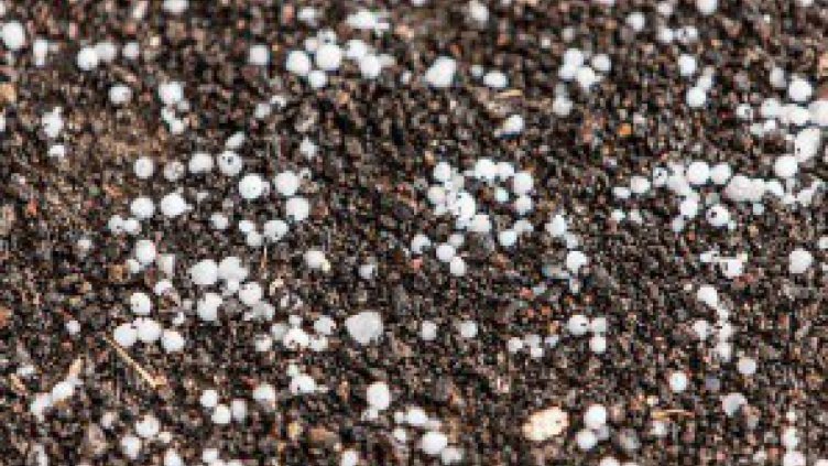 Градушка с големина на орех падна в село Манолово