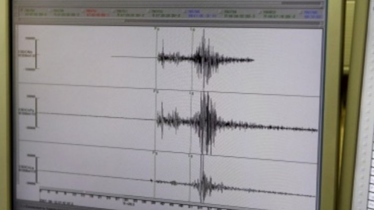 Леки трусове край Сатовча