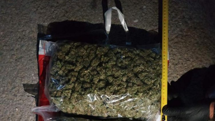 Хванаха млад варненец със солидно количество трева