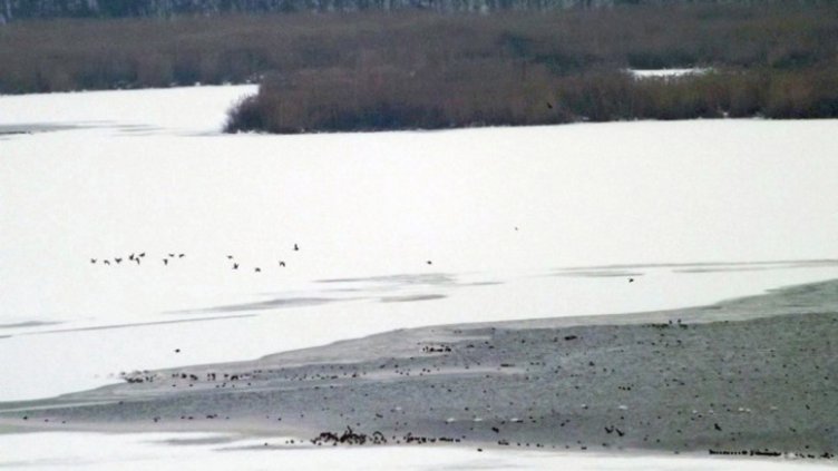 Водолази намериха тялото на момчето, потънало във водоем край Марково