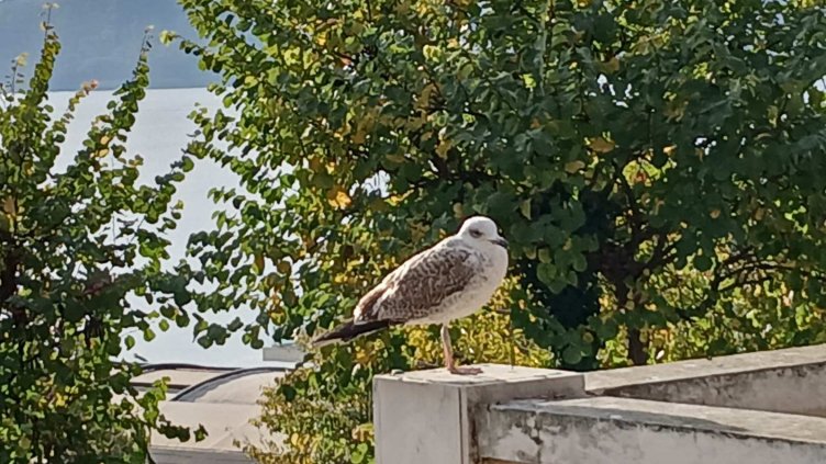 Какво ще бъде времето в неделя?