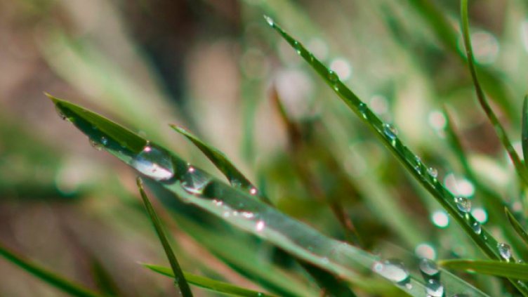 Снимка Ели Маринова