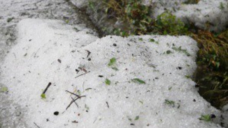 Близо час валя градушка над Смолянско  