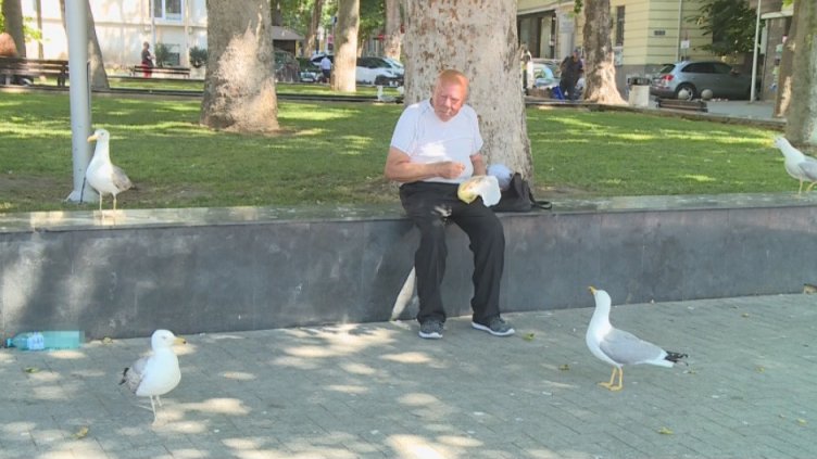 Варненци "на война" с чайките и гларусите