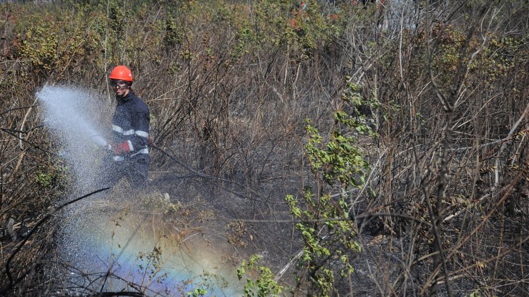 Пожар засегна 20 дка горска територия над „Възраждане“ (СНИМКИ)