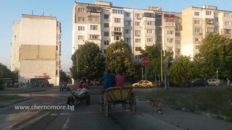 Погнаха нелегалните дървосекачи в гората над "Владиславово"