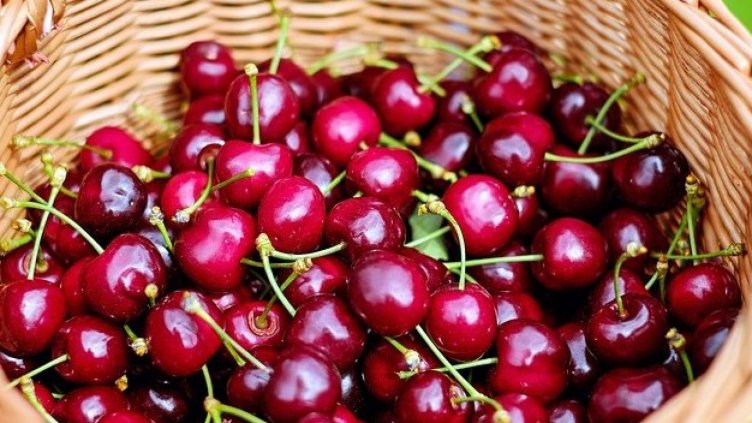 Плодовете и зеленчуците на едро поевтиняват