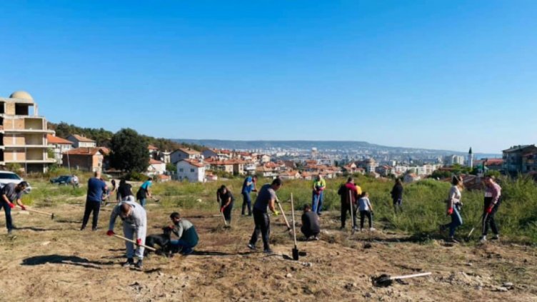 Засадиха дъб и черен бор във варненския район "Аспарухово"