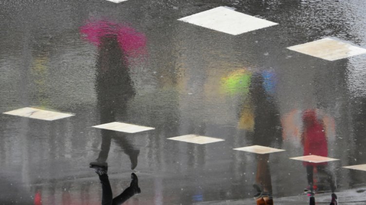 Снимка ПЛАМЕН ГУТИНОВ