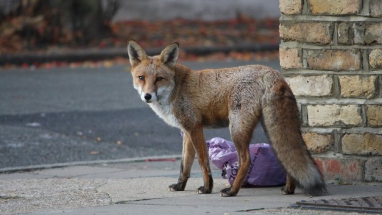 Снимката е илюстративна.