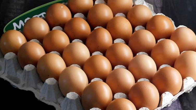 България иска забрана за внос на яйца от Украйна