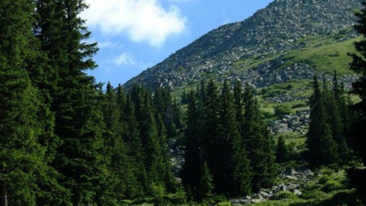 Продължава издирването на изчезналия във Витоша