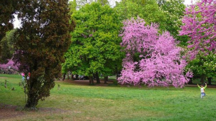 Сънчево, но облачно в следобедните часове