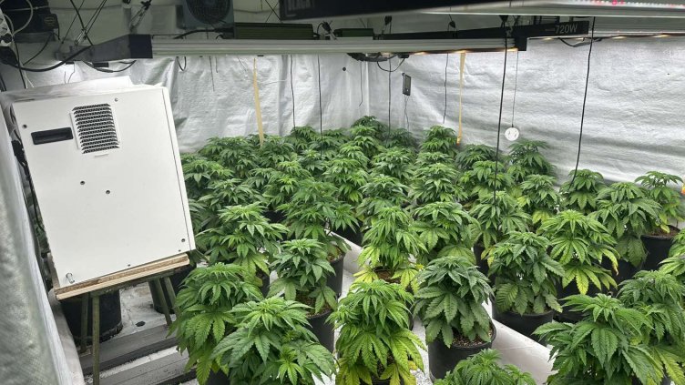 Във Варна: 24-ма души са привлечени като обвиняеми за държане на наркотици