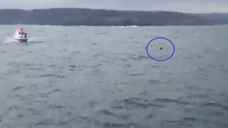 30 кг експлозив имало в мината. Отвориха Босфора