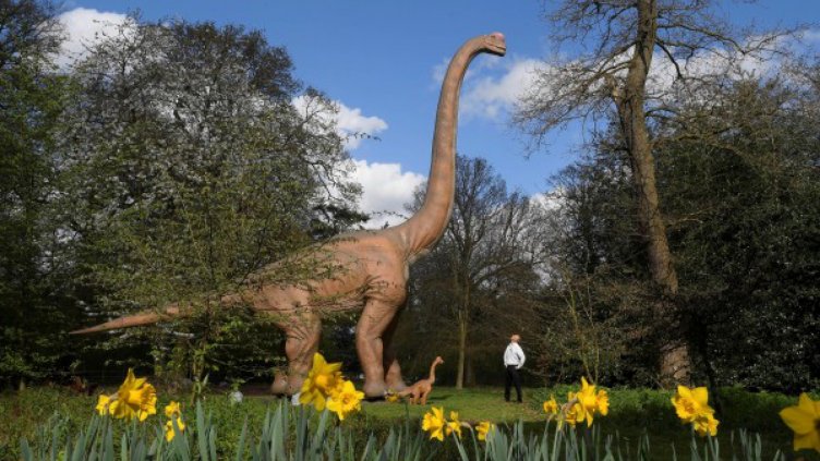 Една намерена частица: Динозаври са тичали по нашите земи! 